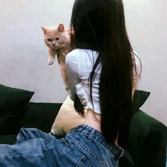 不爱的那些年